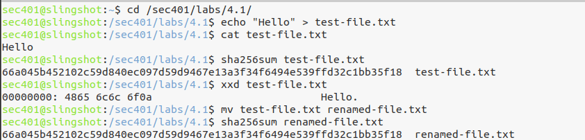 Hash is content-based, not name-based