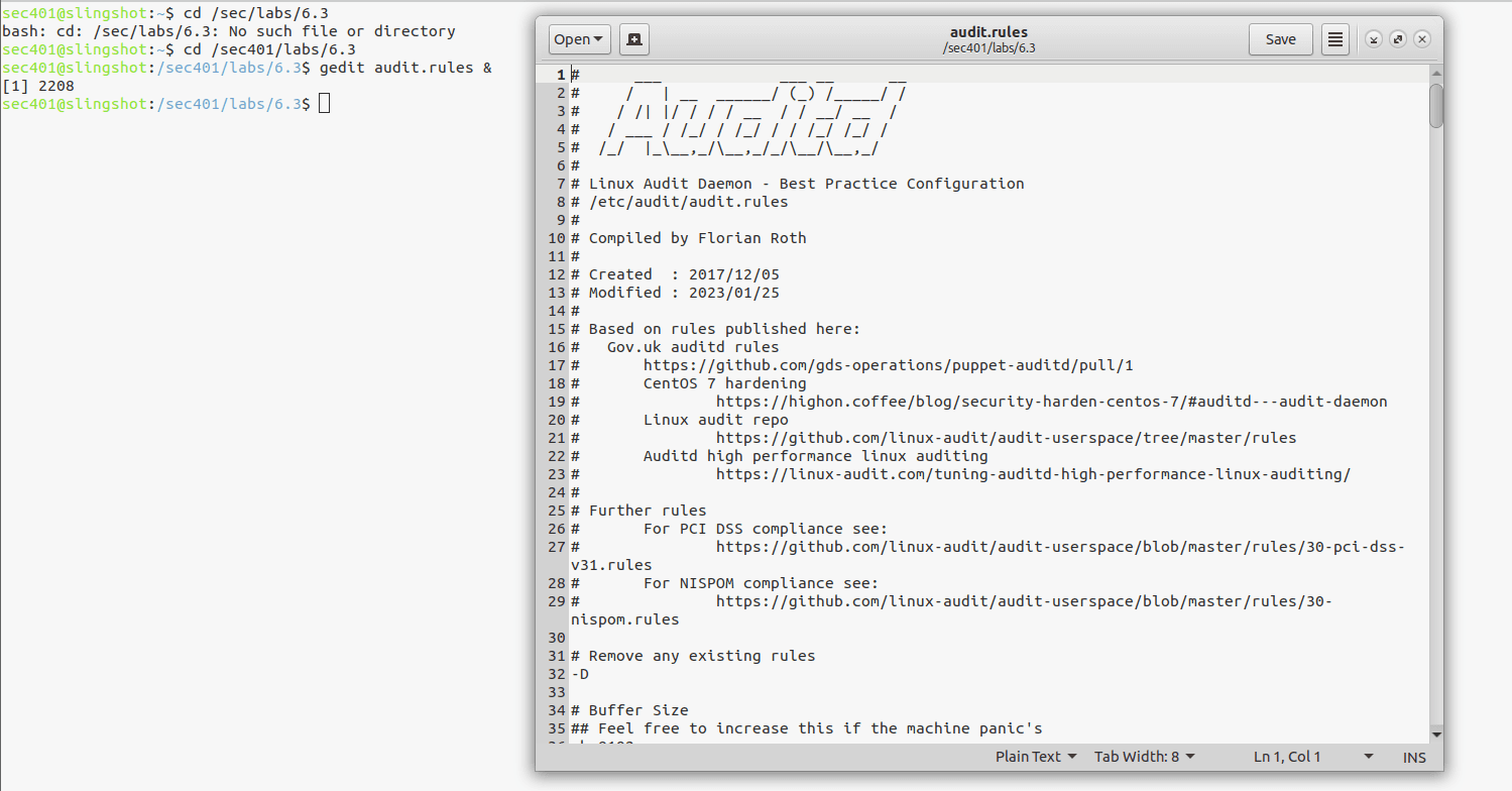 Open the auditd rules file