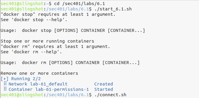 Start the Docker lab container