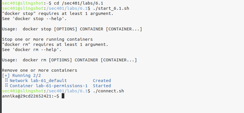 Connect into the container as annika