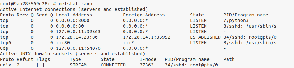 Post-compromise: netstat on target