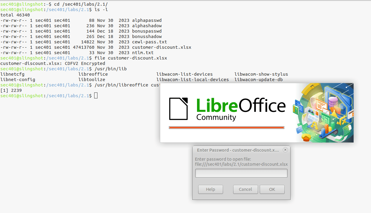 Confirm password-protected Excel file