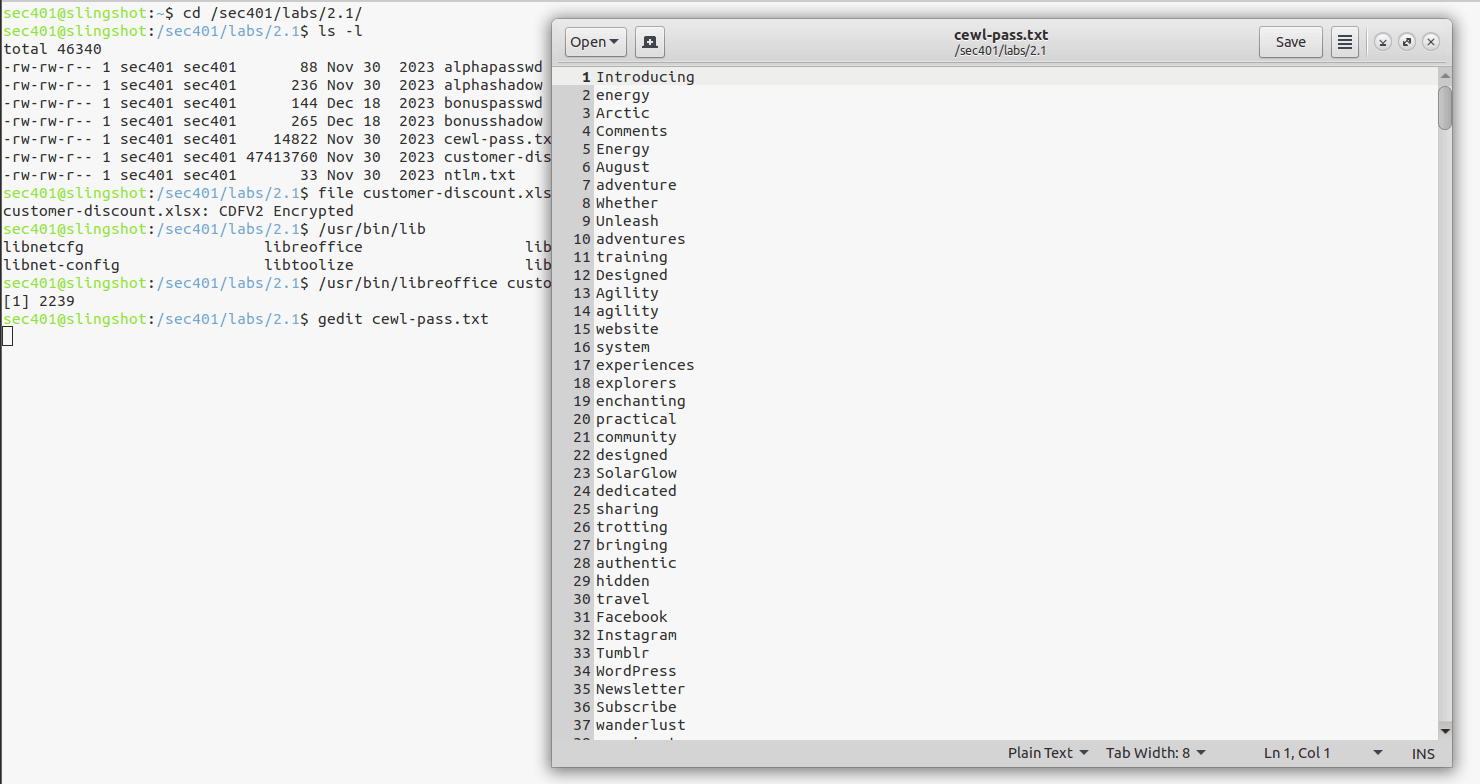 Examine CeWL wordlist