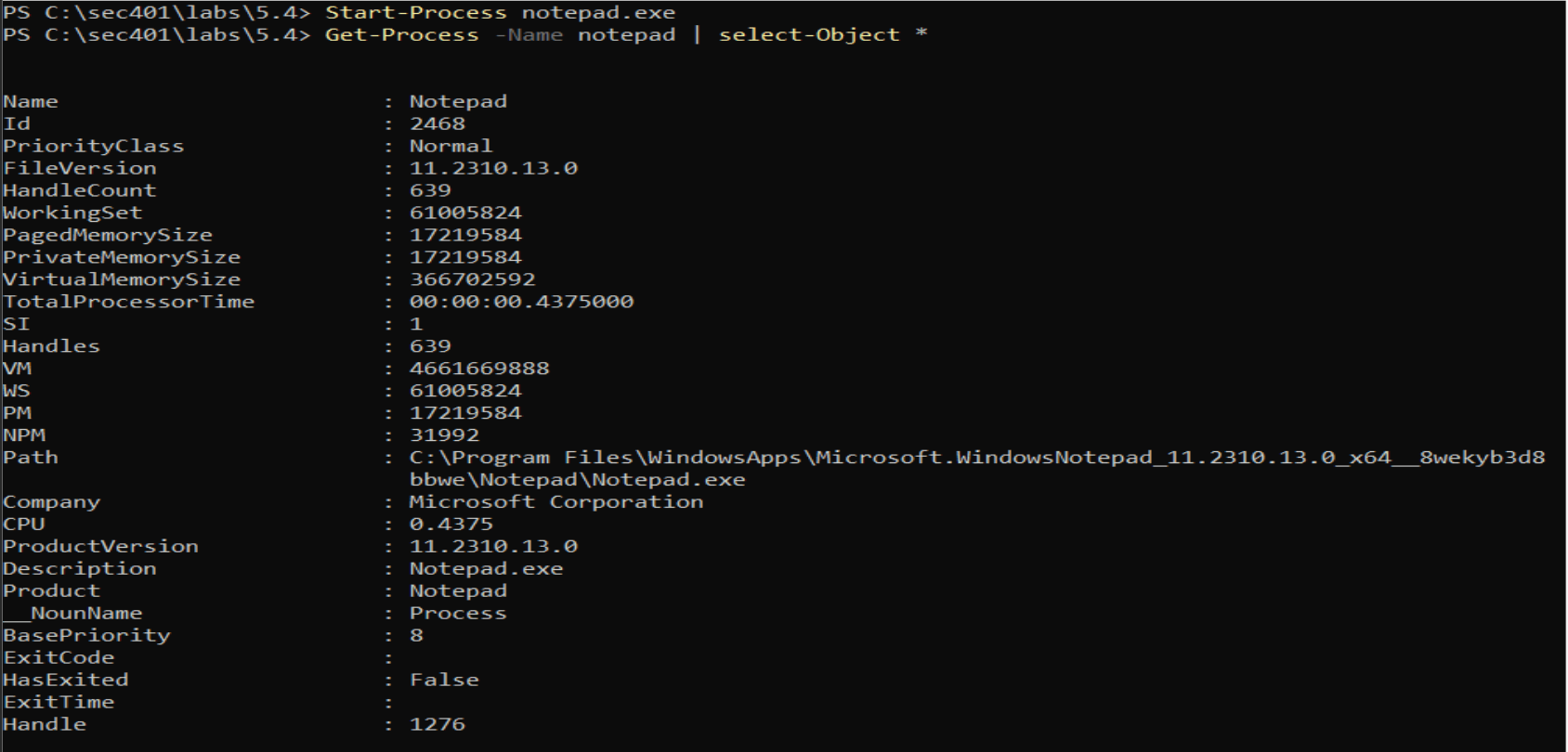 Launch and inspect a process