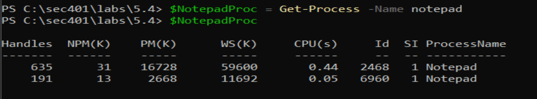 Capture a process into a variable