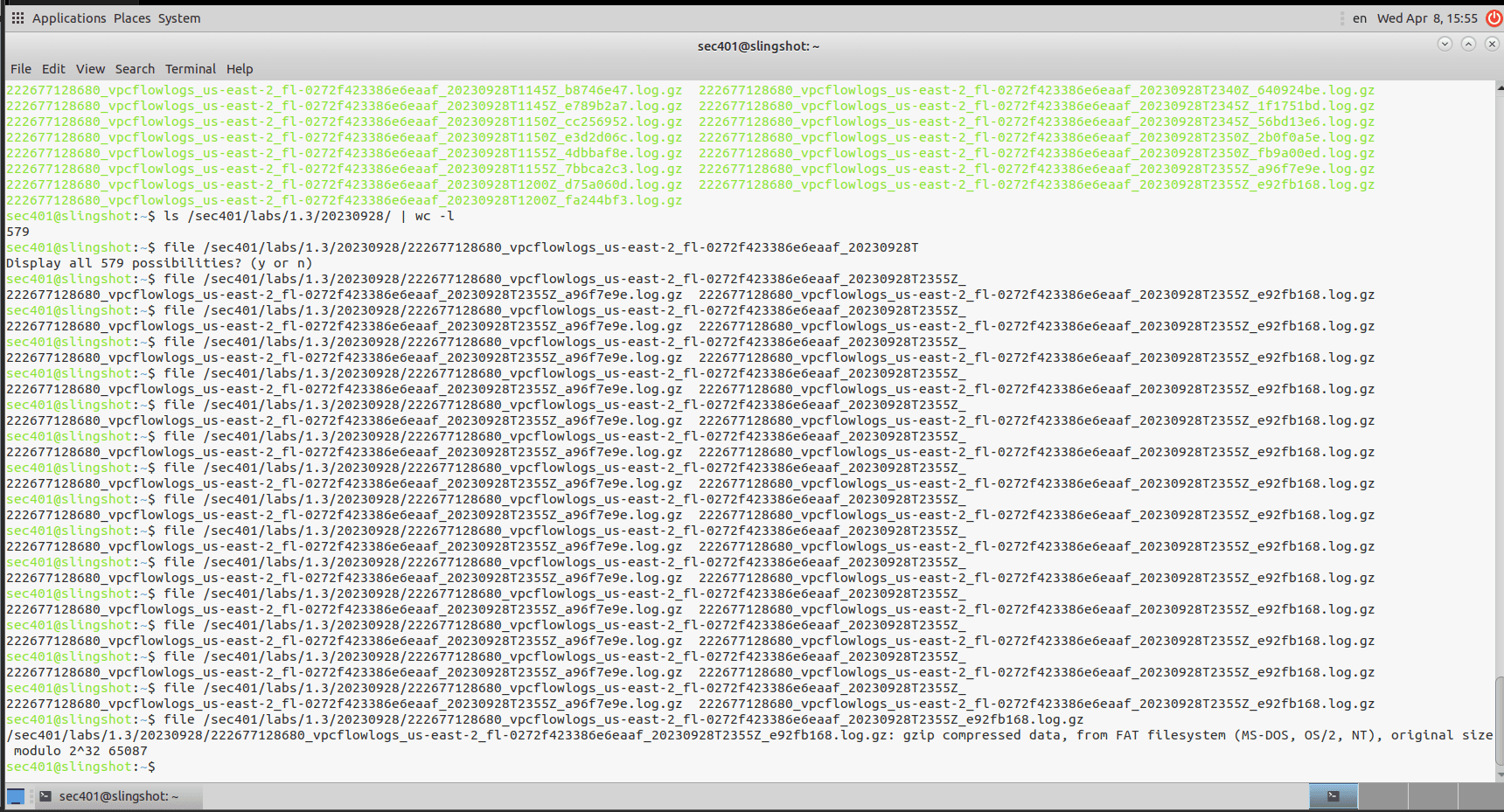 AWS VPC Flow Log Analysis: Investigating 173K Records to Map an Attacker's Full Kill Chain