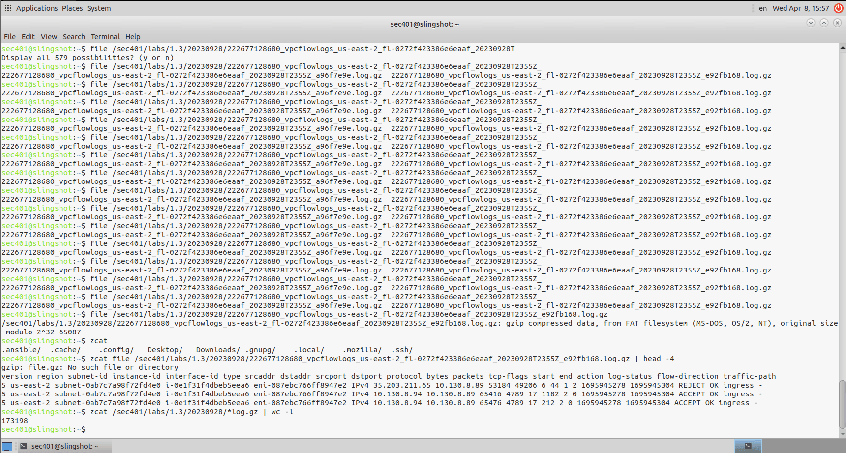 Count total flow records
